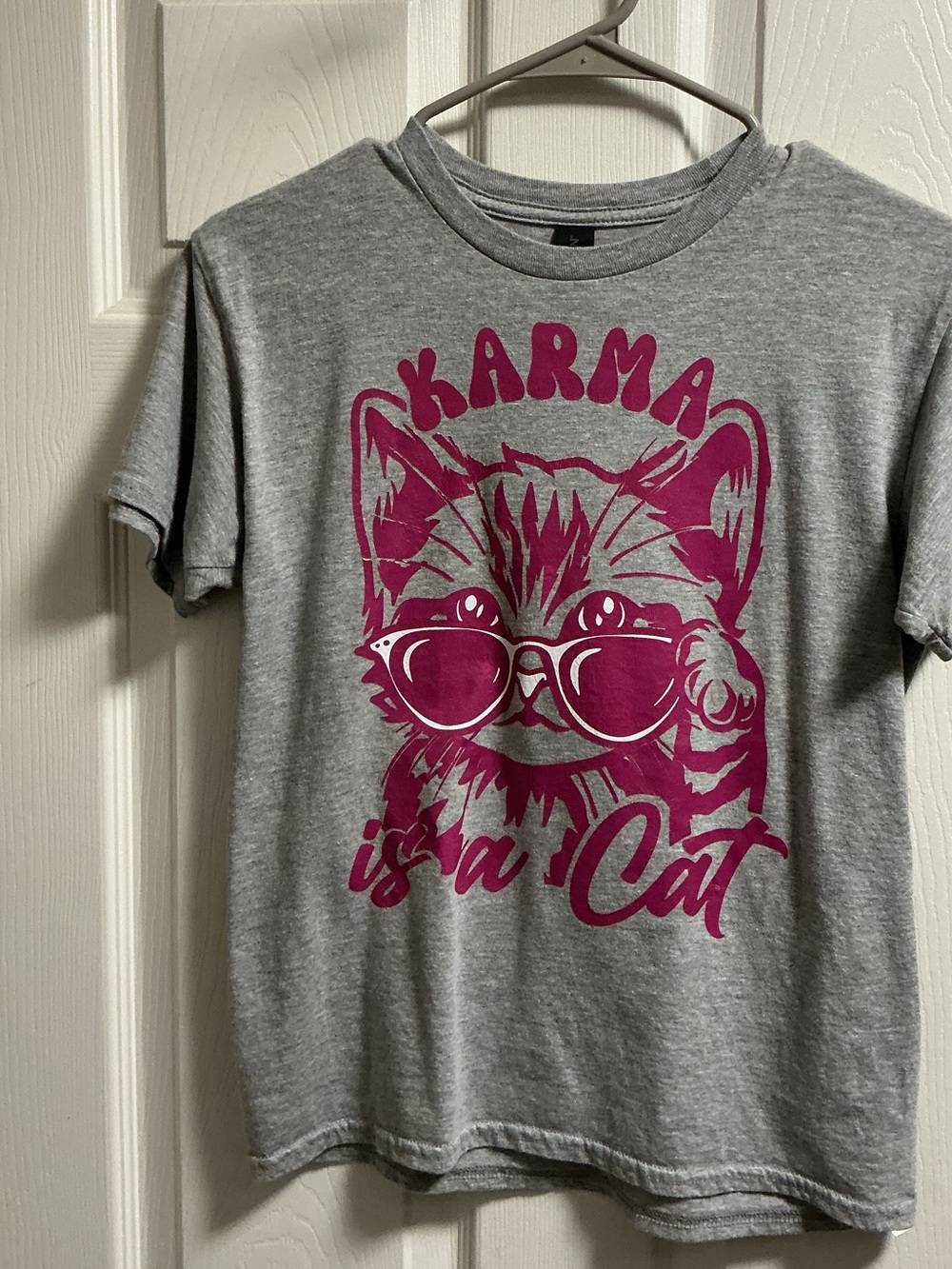 Taylor Swift Karma Is a Cat Graphic Tee - Gray with Pink Print